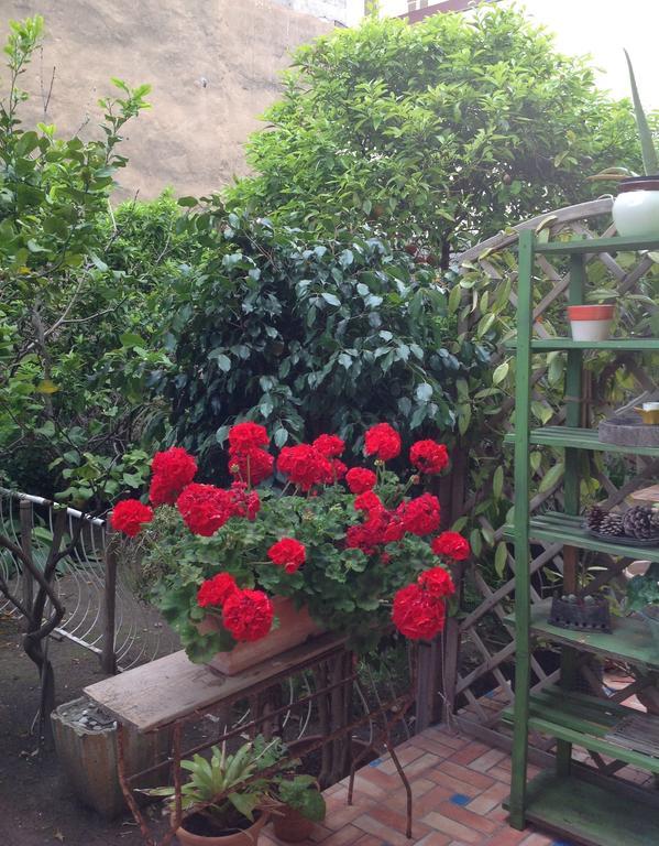 Carrer Dels Horts Apartment อาลเกโร ภายนอก รูปภาพ